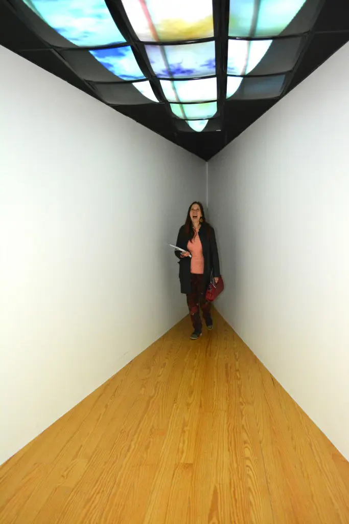 Mel Chin's video installation is captivating, and provides a moment of contemplation. Plan to spend some time to decipher its message.