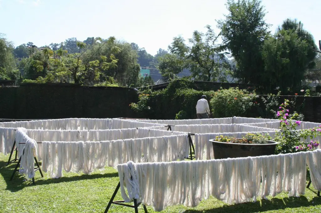 Pure white Himalayan wool, spun into carpet yarn and drying in the sun.