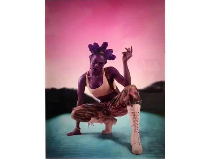Juliana Huxtable, 2015 Triennial: Surround Audience, New Museum