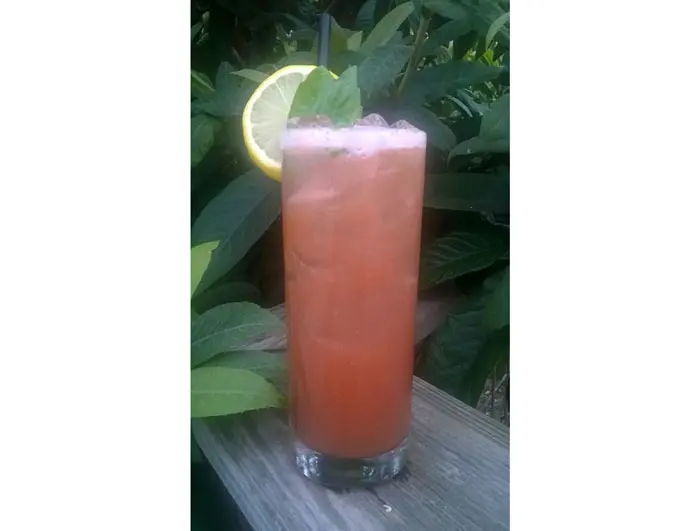 Bourbon, Campari, Lemon, Basil, Angostoura Bitters, Ginger Beer at Beaver's 