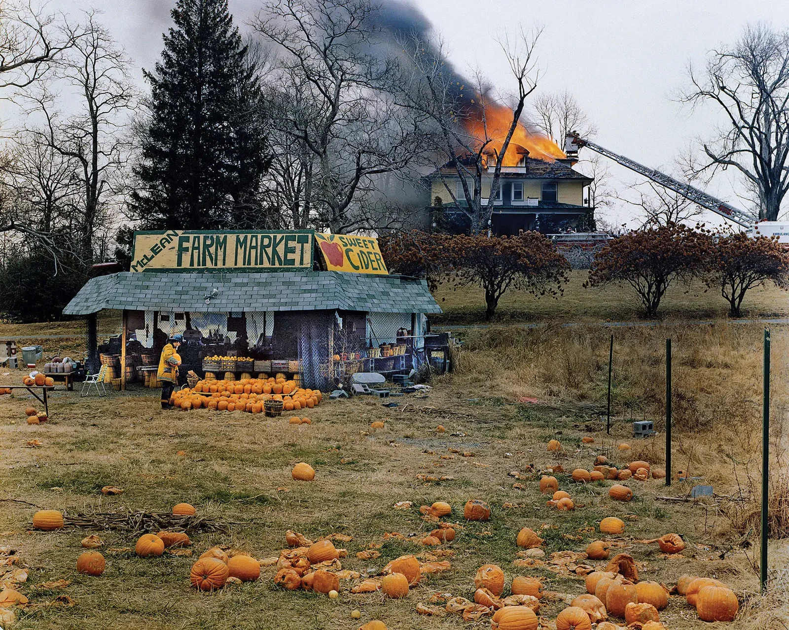 Joel Sternfeld’s McLean, Virginia, 1978. Collection MFAH, © The Artist.