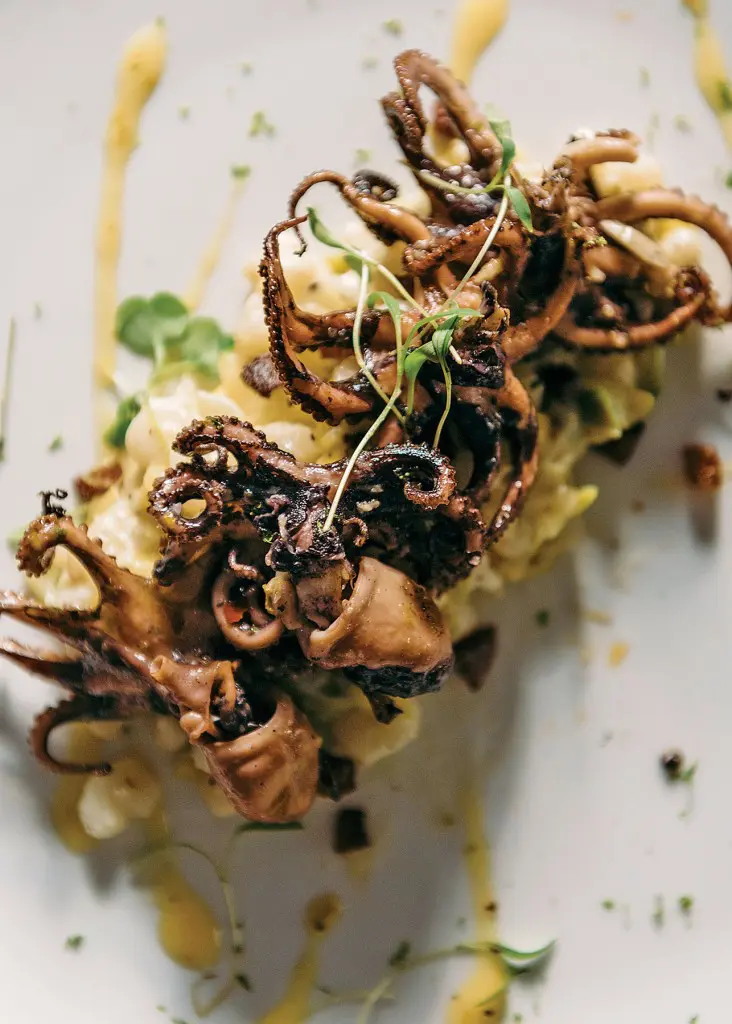 Grilled octopus