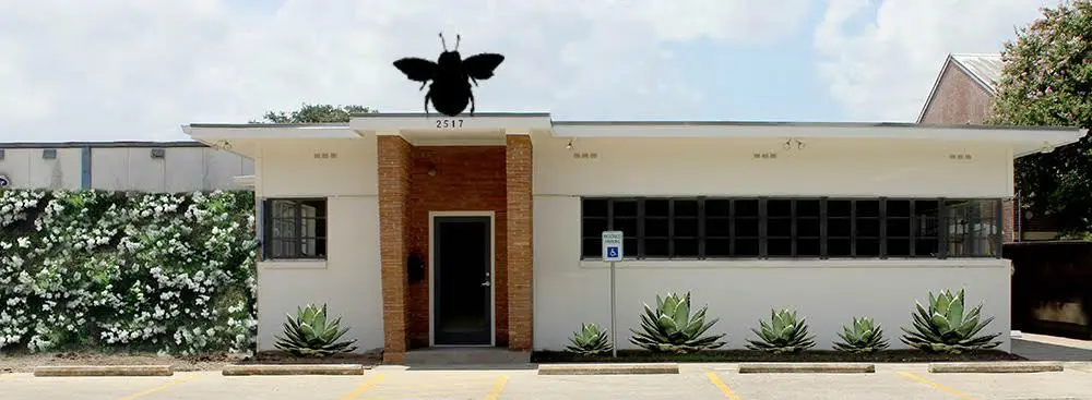 abejas