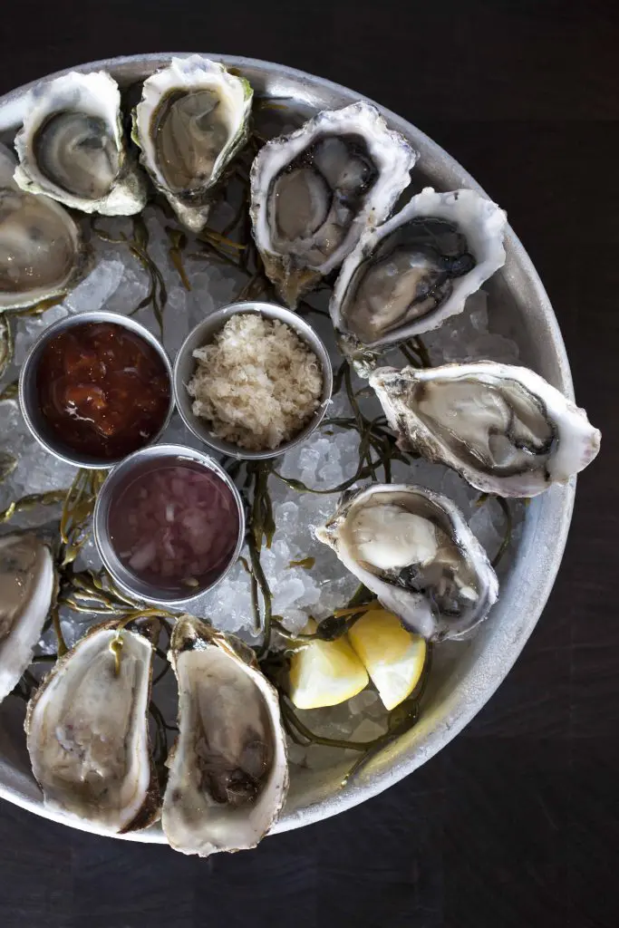 Oysters on the half shell (Photo by Alan de Herrera)