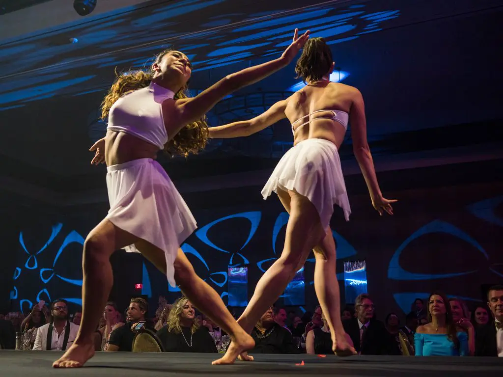 Fashion, dance, great gowns... this gala had it all.