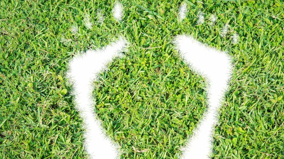 The Energy Happy Texas Home: 11 Steps to Save Money and Reduce Your Carbon Footprint