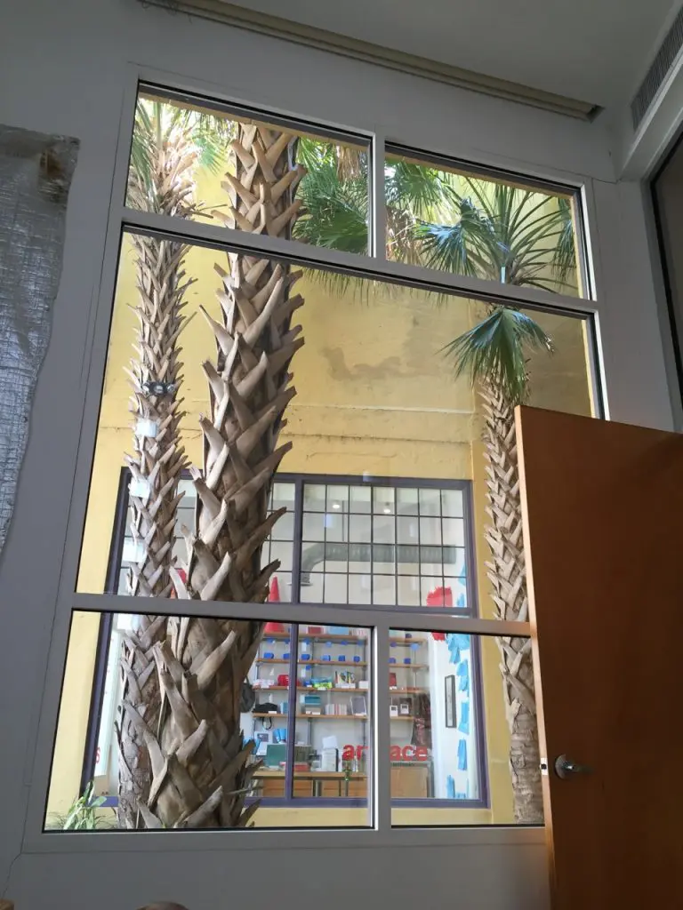 I finally arrived at Artpace after a 5K-mile roundtrip drive between Texas and Canada.  This is the view from studio director Riley Robinson’s office.
