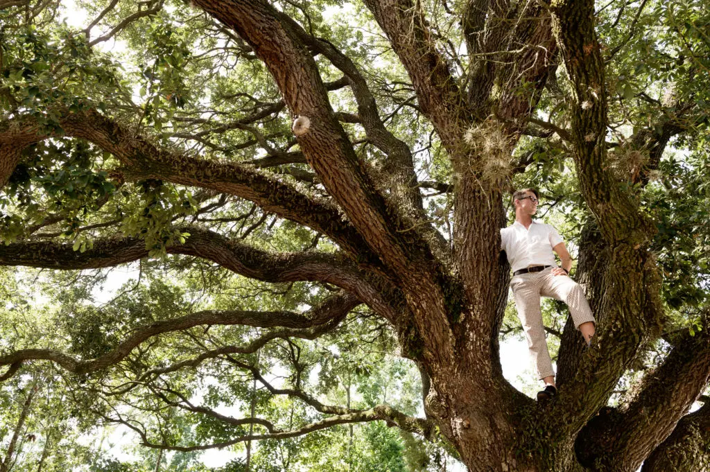 Thomas Woltz surveys the scene from a grand post oak, one of Memorial Park's signature species. (Photo Jack Thompson)