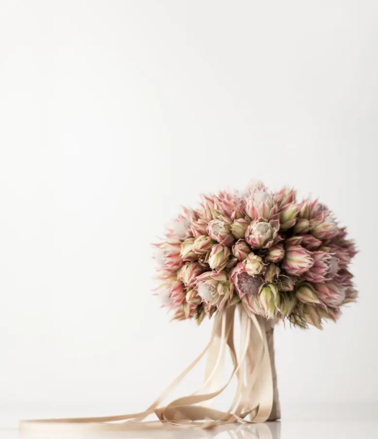 Avant Garden will have an immersive photo booth. 