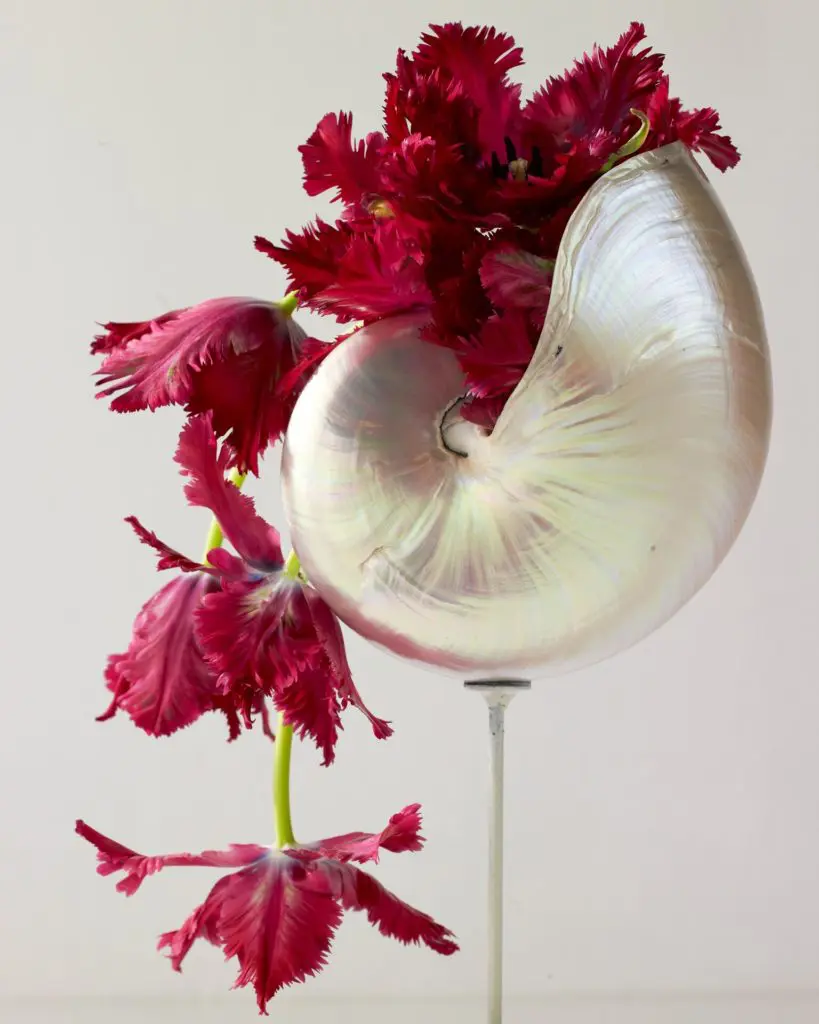 Avant Garden will feature an Orchid Bar. 