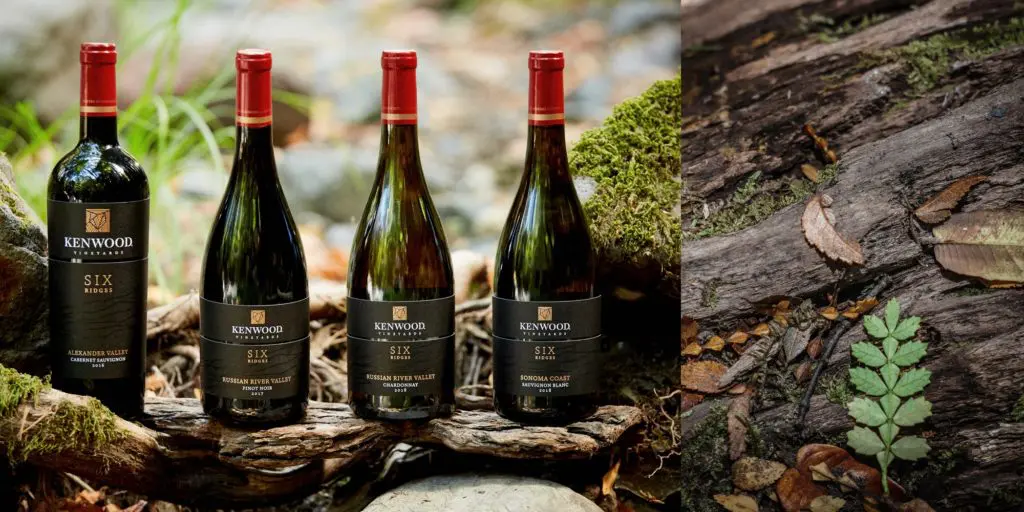 Sonoma County Wine Picks That Will Make Any California Grapes Fanatic Swoon