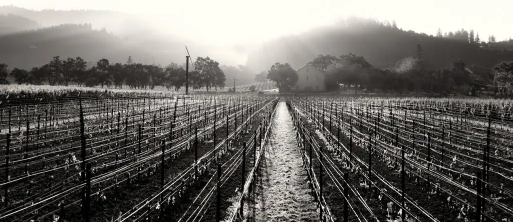 This Spanish Winemaker’s California Cabernet Sauvignon is Definitely Worthy — the Magical History (and Future) of Ehlers Estate