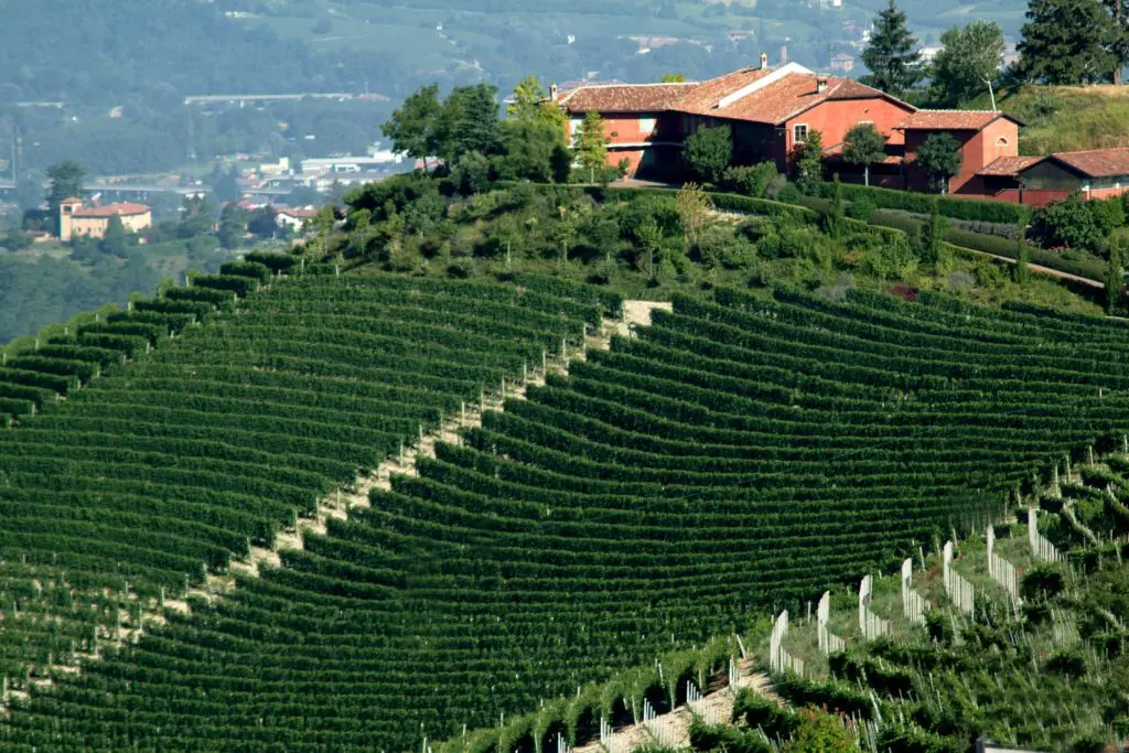 Your Weekly Wine Pick — This Fine Chardonnay From a Storied Italian Family More Than Stands Up