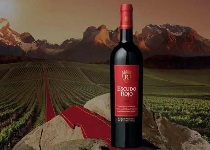 Your Cheap Wine Find — Chilean Reds Under $22 That Will Impress