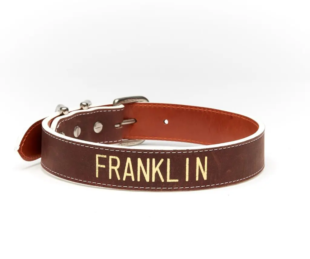 Nokona personalized dog collar.