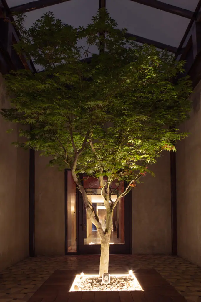 A courtyard moment lights the way to coveted patio spots. 