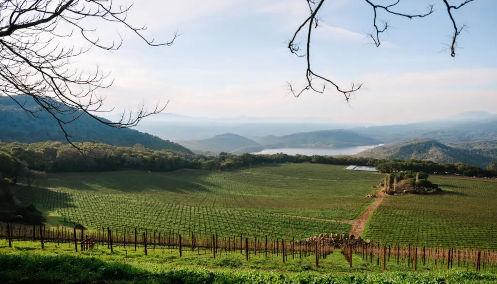 Wine Wisdom — A Beautiful Cabernet Franc and an Italian Restaurant in Los Angeles to Try