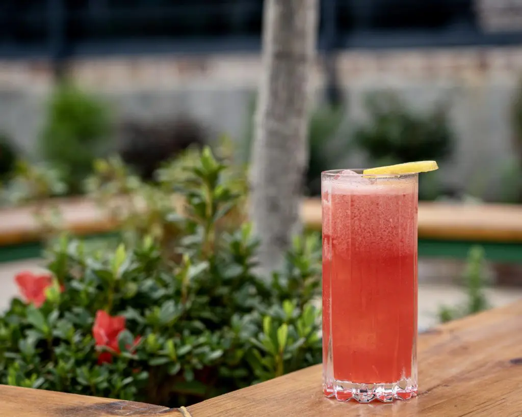 New Drinks and Patio Wonderland Opens on Washington Avenue — Bayou Heights Bier Garten Brings Cocktails, Craft Beer and Even Coffee