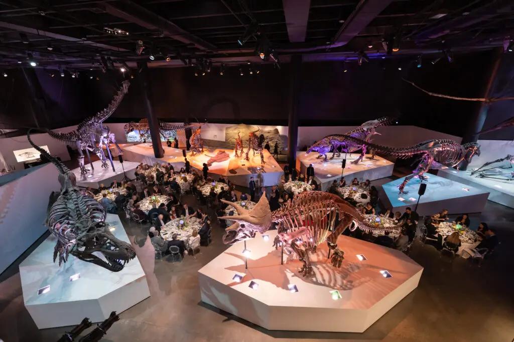 Dinner in the Morian Hall of Paleontology at the preview of HMNS' re-imagined Welch Hall: Matter & Motion (Photo by Mike Rathke, HMNS Photographer)