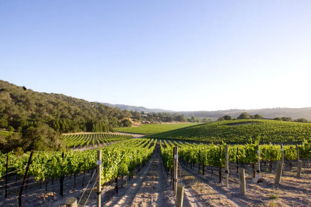 Talley Vineyards is a slice of wine paradise.