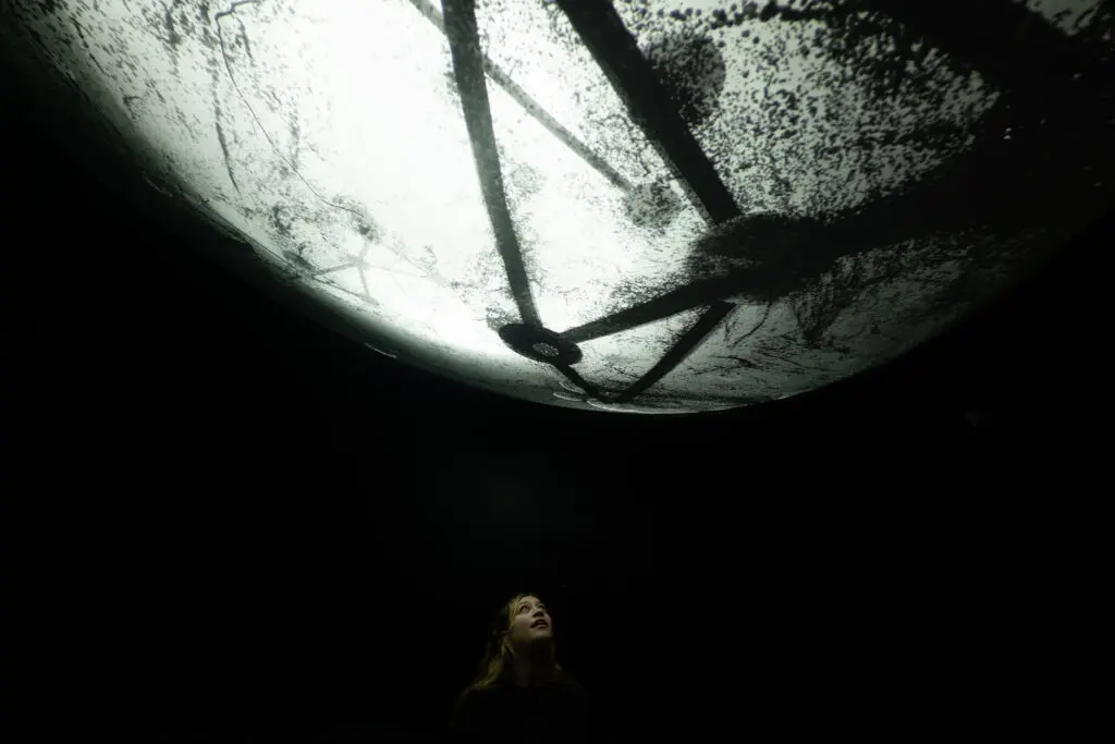 Artechouse Houston's "Eternal Life" (Photo courtesy Artechouse) 