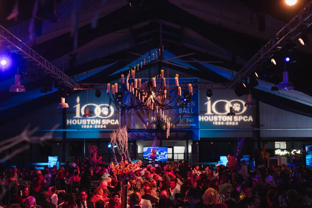 The Houston SPCA celebrates a century of animal welfare with a Halloween themed gala.