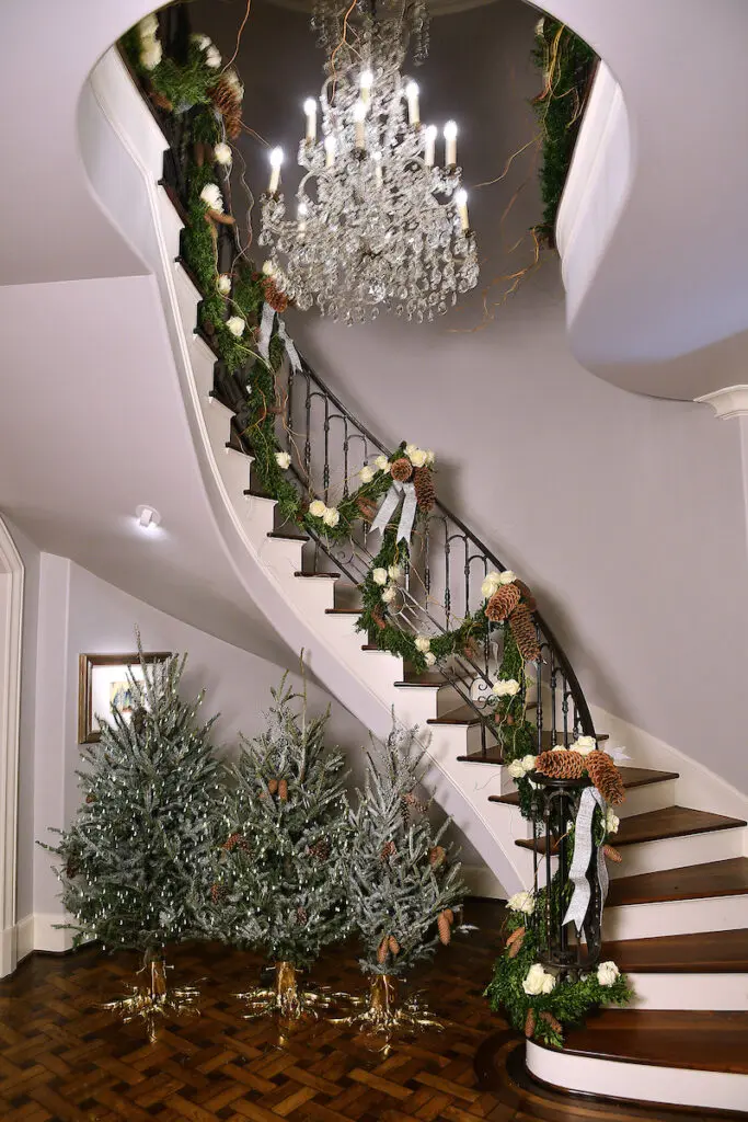 Petite welcoming Christmas trees at the Kappa Kappa Gamma Charitable Foundation home tour preview party(Photo by Dave Rossman)