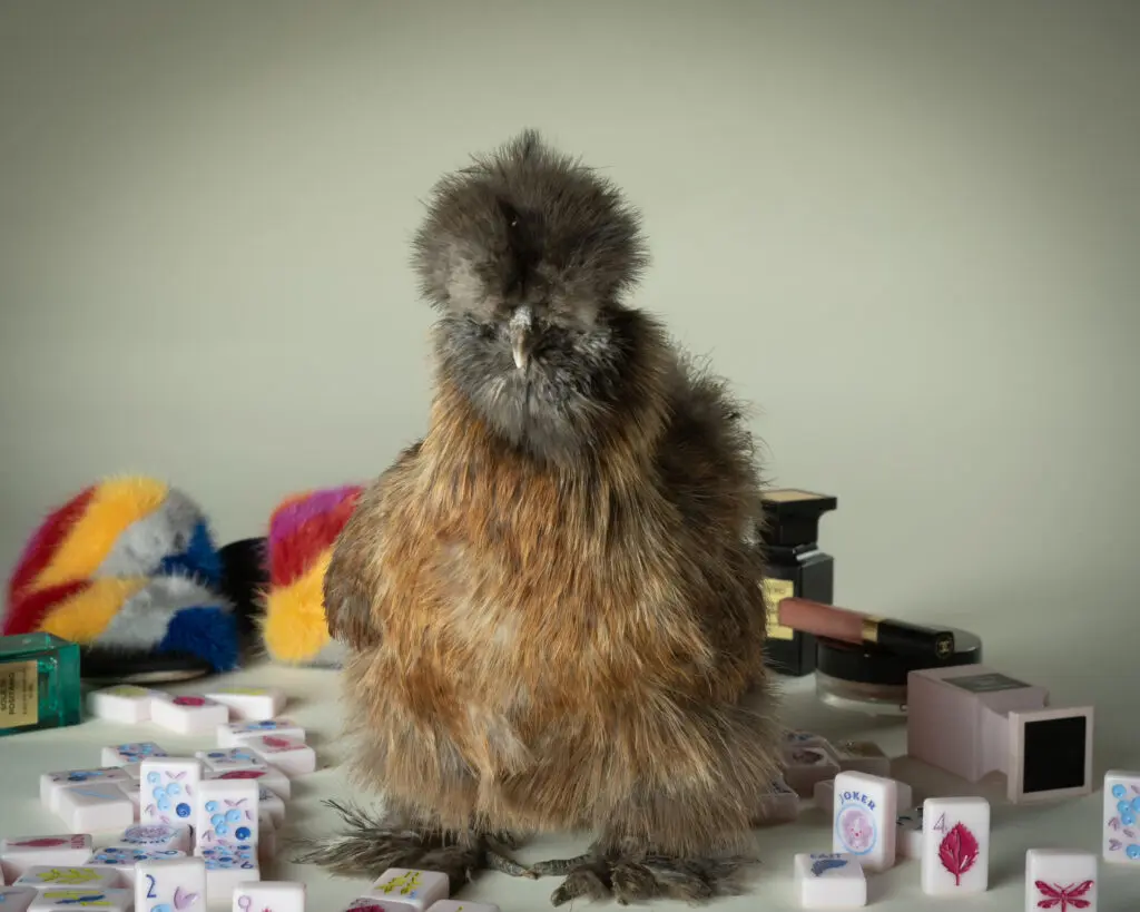 Healing Hens fundraises through mahjong tournaments. Their next event, Mahjong in the Garden, will take place on April 5. (Photo by Nick Sanders)
