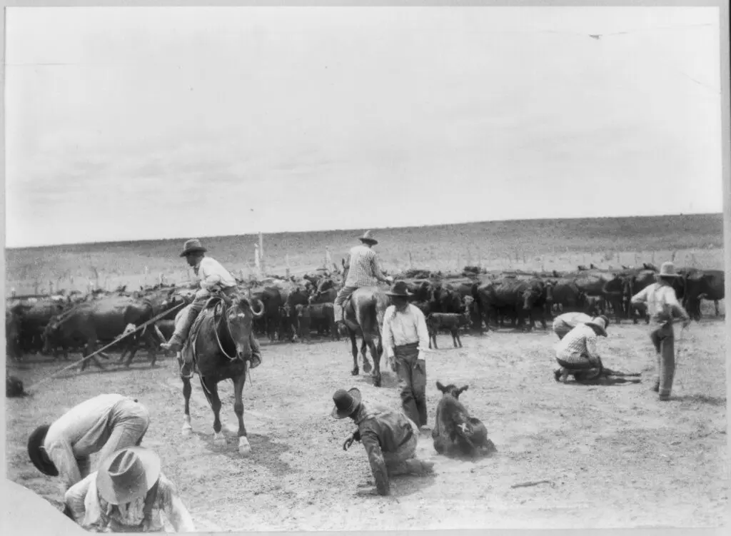 XIT Ranch was once the largest fenced ranch in the world. At its peak in the late 19th century, the ranch carried an average of 150,000 head of cattle. (Courtesy)