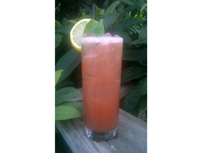 Bourbon, Campari, Lemon, Basil, Angostoura Bitters, Ginger Beer at Beaver's 