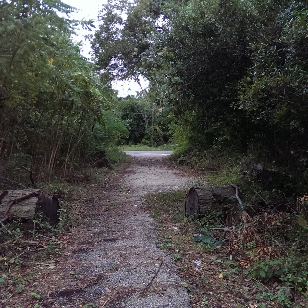 The entrance to Olivewood Cemetery, one of the oldest burial grounds in Houston. (Photo by Matthew Ramirez)