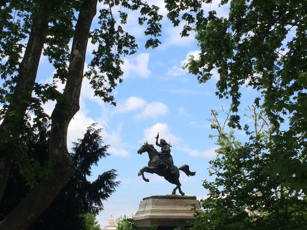 Anita Garibaldi through the trees