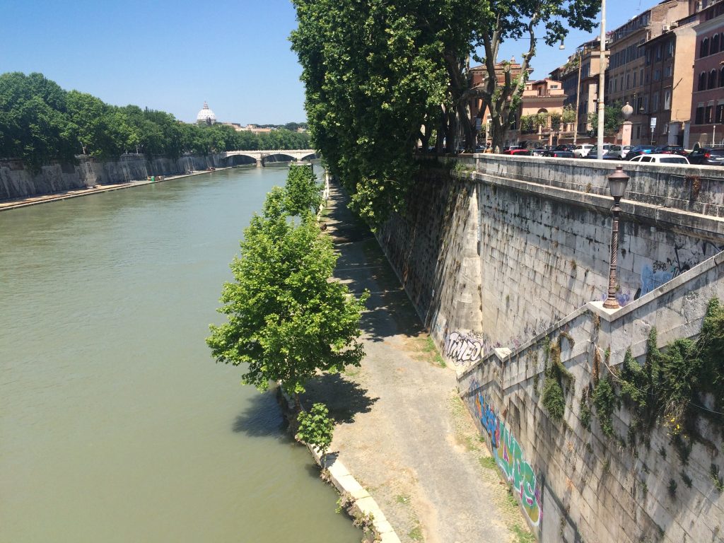 River Tiber with St. Peter's in the distance.