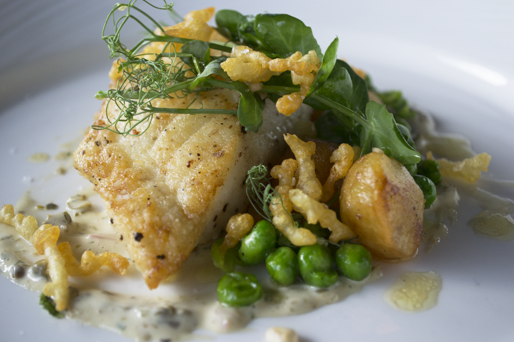 A storied fish, and a beautiful and delicious dish. (Courtesy SaltAir Seafood Kitchen)