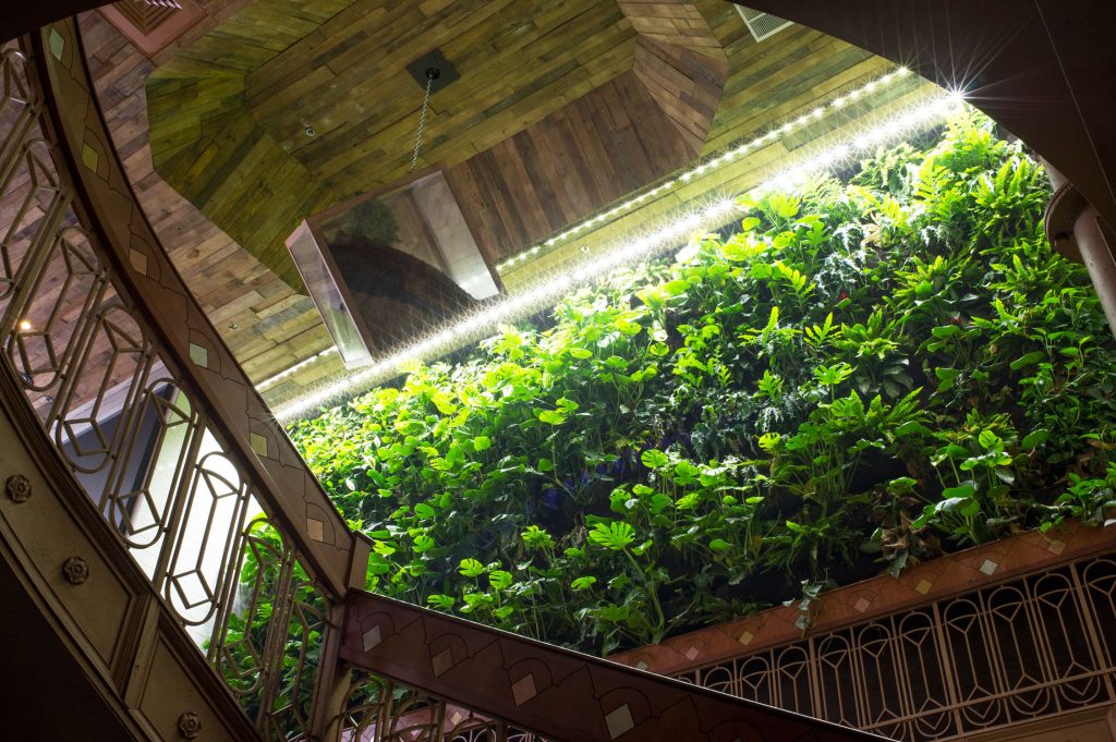 Living plant walls bring life to the underground space. 