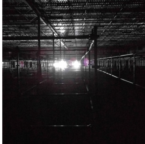 Nonotak returns. (Photo Matthew Ramirez)