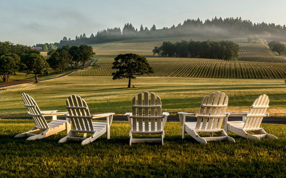 The Stoller view: It's a winery focused on sustainability.