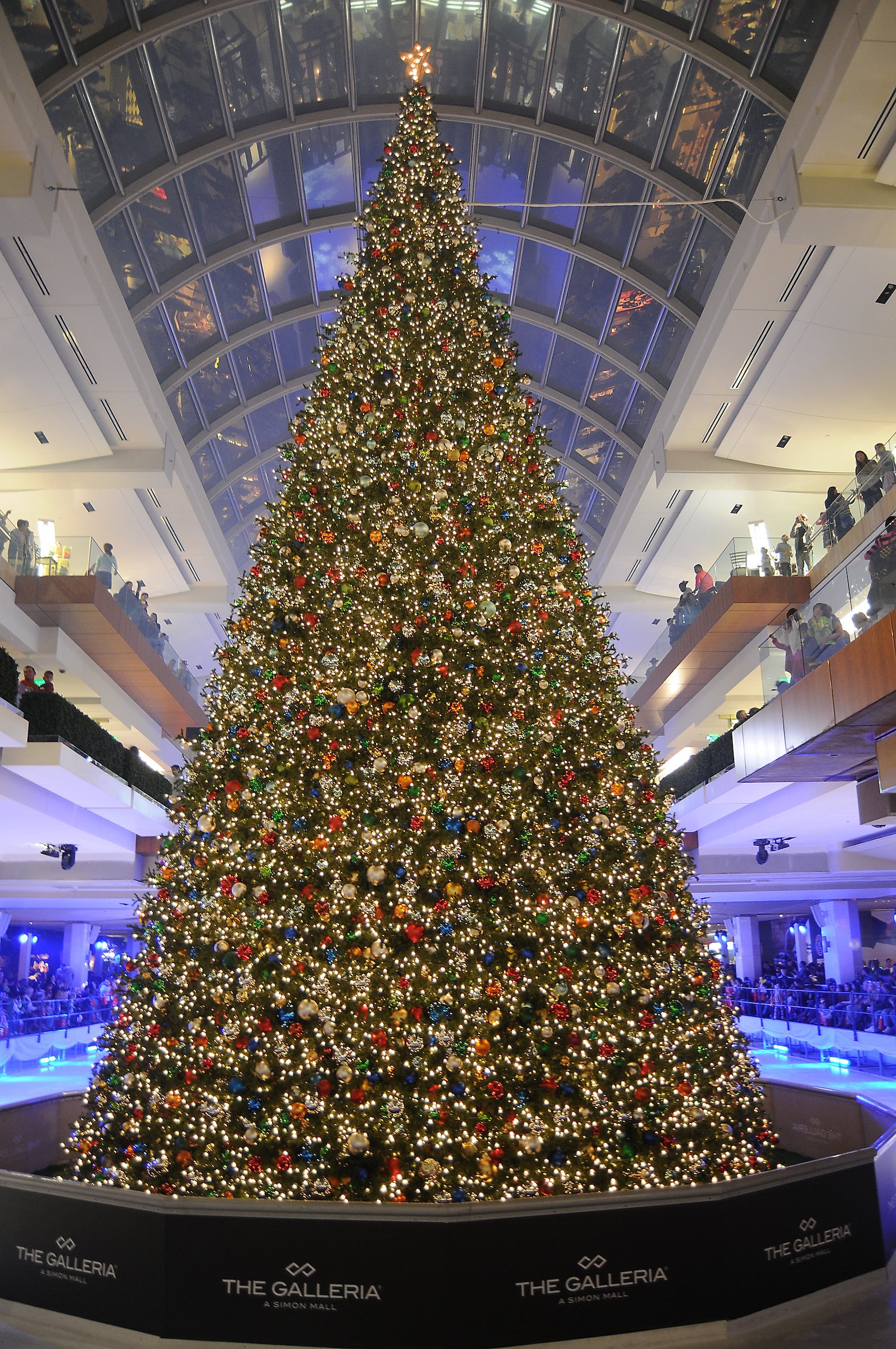 A Holiday Giant Galleria's Massive Christmas Tree Lighting Lures a