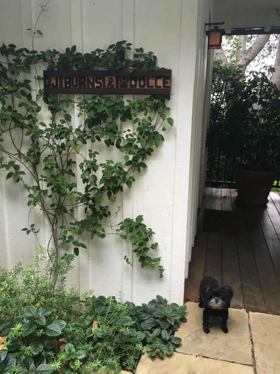 Burns' beloved pup Dolce, next to the personalized entrance to Oak Grove Cottage at San Ysidro Ranch