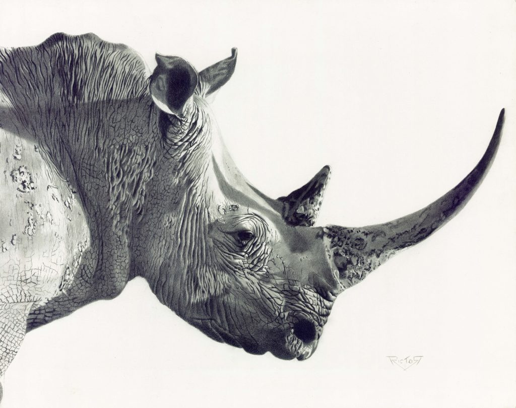 Grey World Expressions