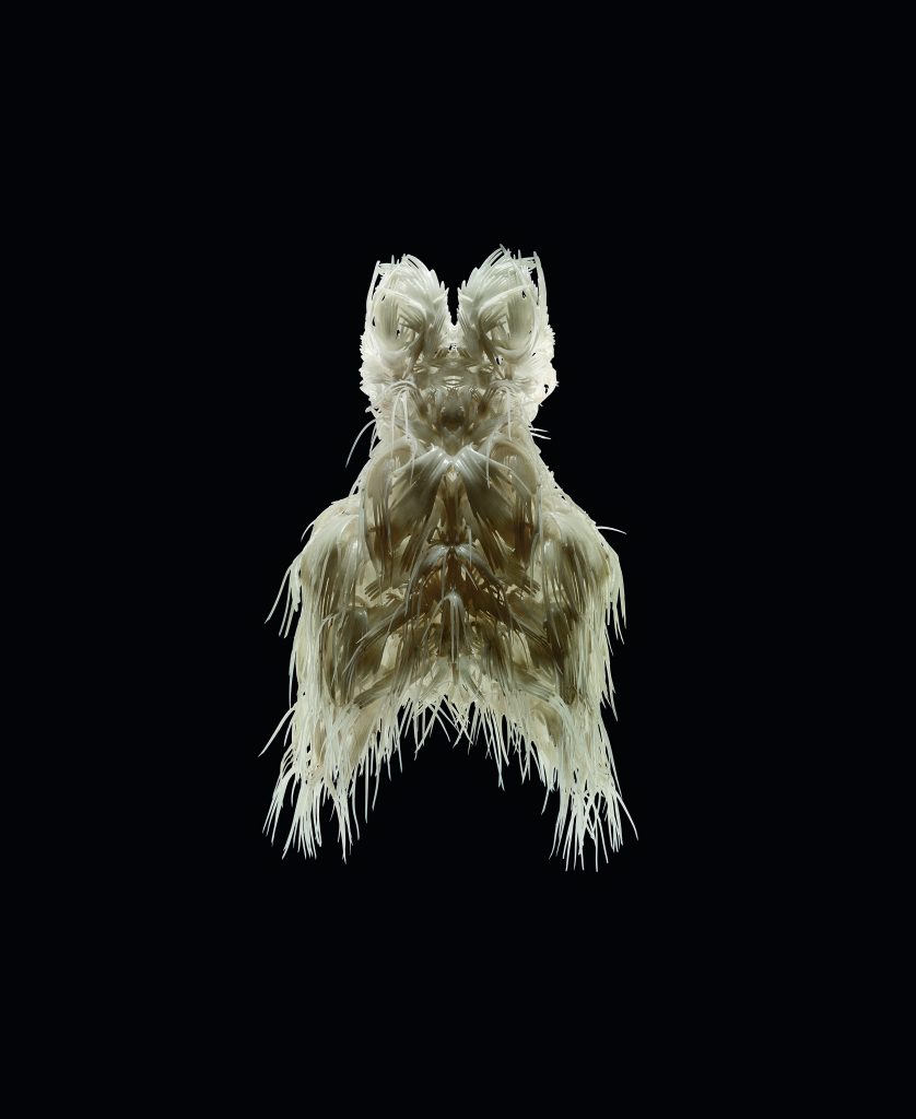 Iris van Herpen in collaboration with
Julia Koerner and Materialise, "Biopiracy" dress, March 2008, 3-D printed TPU 92A-1, silicon coating