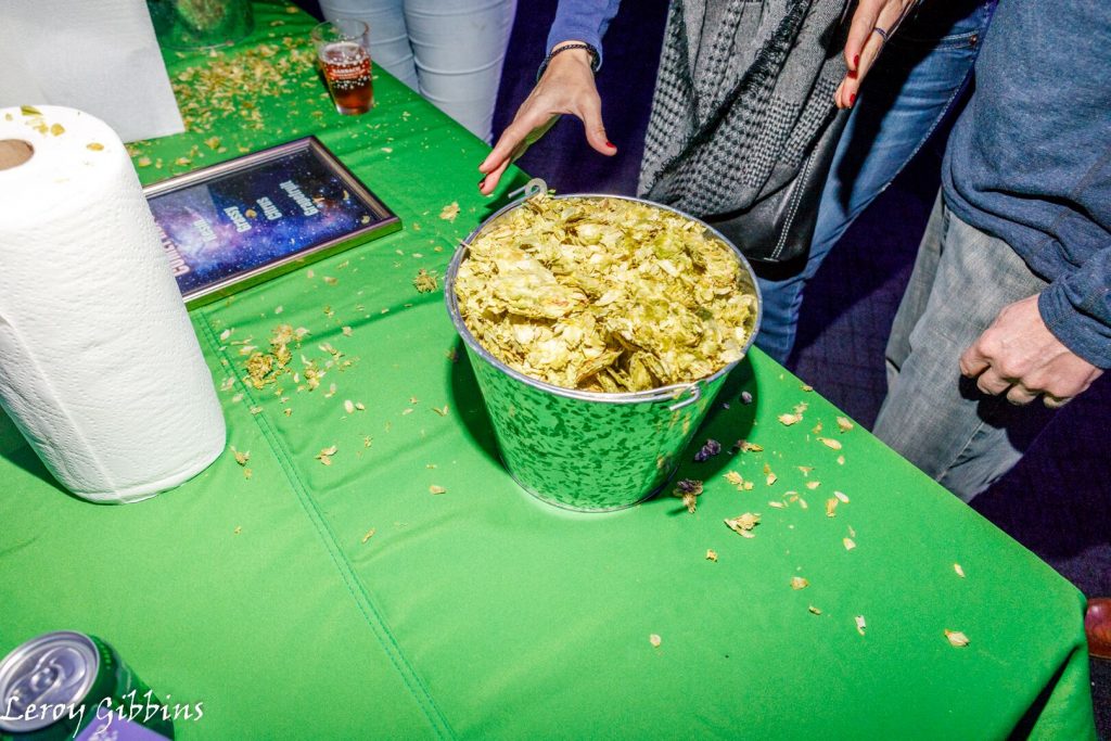 Hop rubbing ruptures oils, releasing a distinctive aroma. (Photo by Leroy Gibbins)