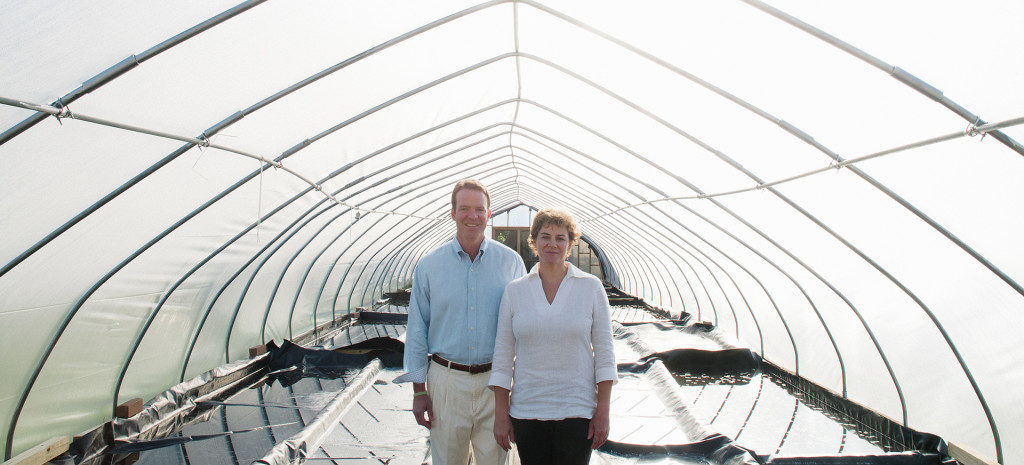 Seventh-generation salt-makers Nancy Bruns and Lewis Payne have tapped into the salt source via the ancient Iapetus Ocean.