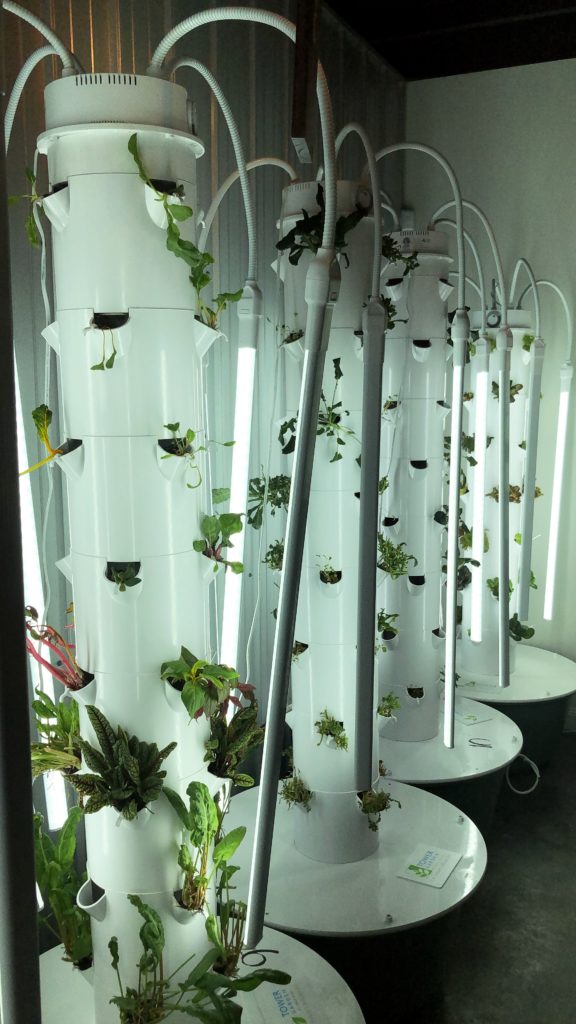 A state-of-the-art aeroponic greenhouse awaits at Manchin's in Charleston.