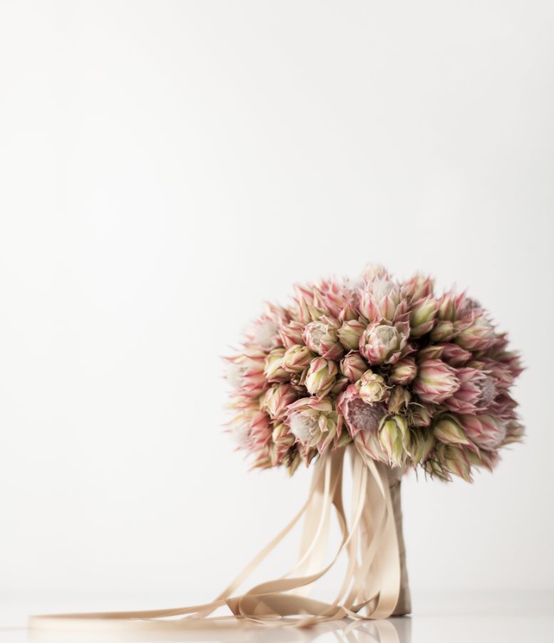 Avant Garden will have an immersive photo booth. 