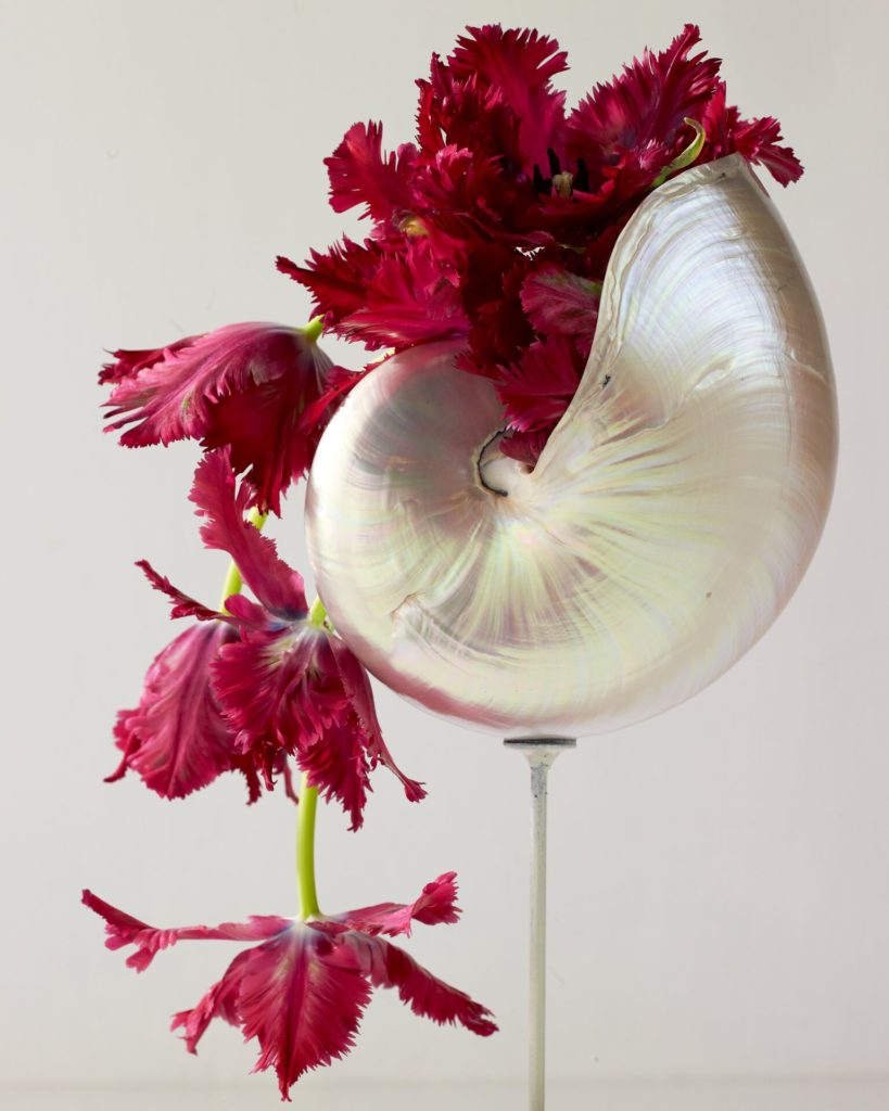 Avant Garden will feature an Orchid Bar. 