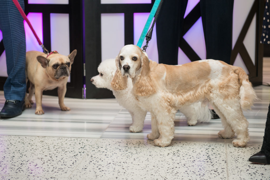 New BFF's meeting up at CAP's kick-off at Tootsies (Photo by Jacob Power)