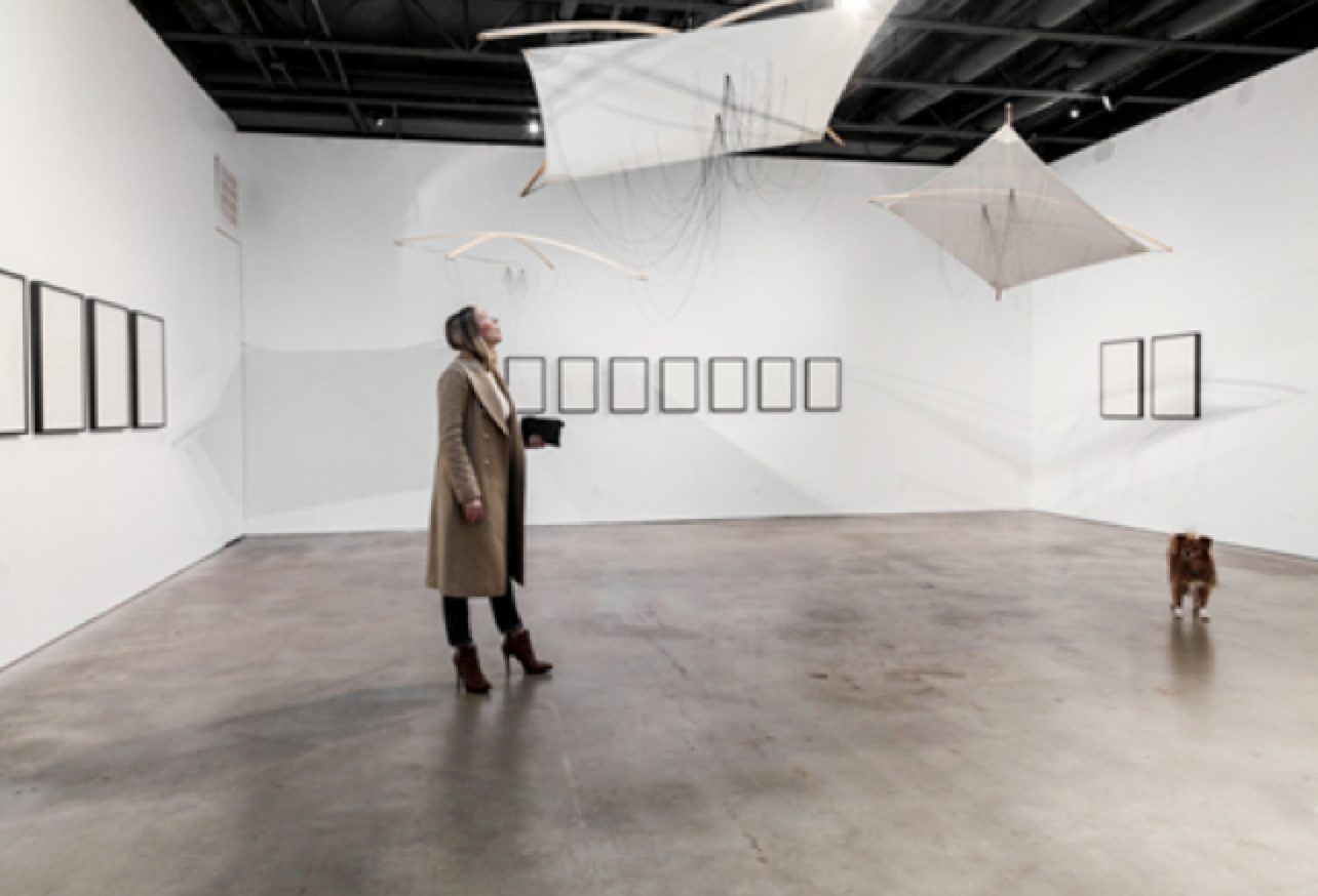 River oaks district sound + light