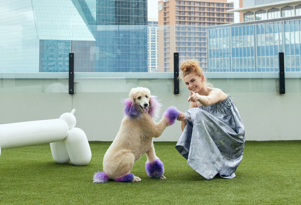 The National features a very special pet concierge.