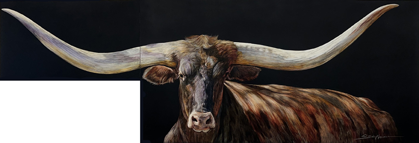 Sally Maxwell's "Way Too Longhorn 3," 2022, at Red & White Gallery. The artist, who resides in the area, is known nationally for her aptitude with the almost lost 19th-century technique of scratchboard. 